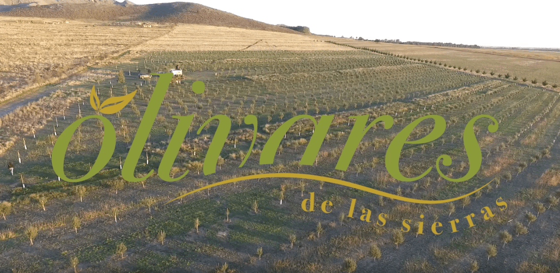 Olivares de las sierras